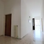 Le Veneri *